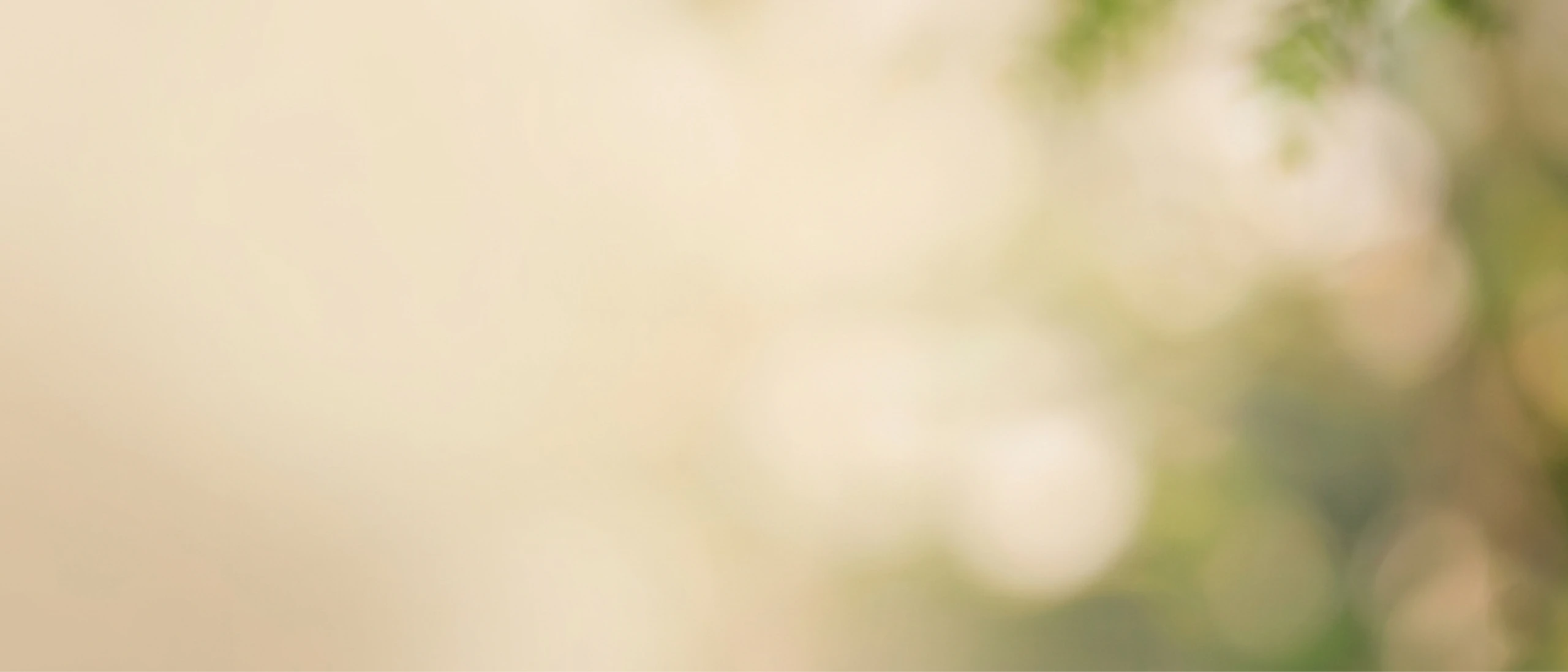 Photos d'un arbre à soie