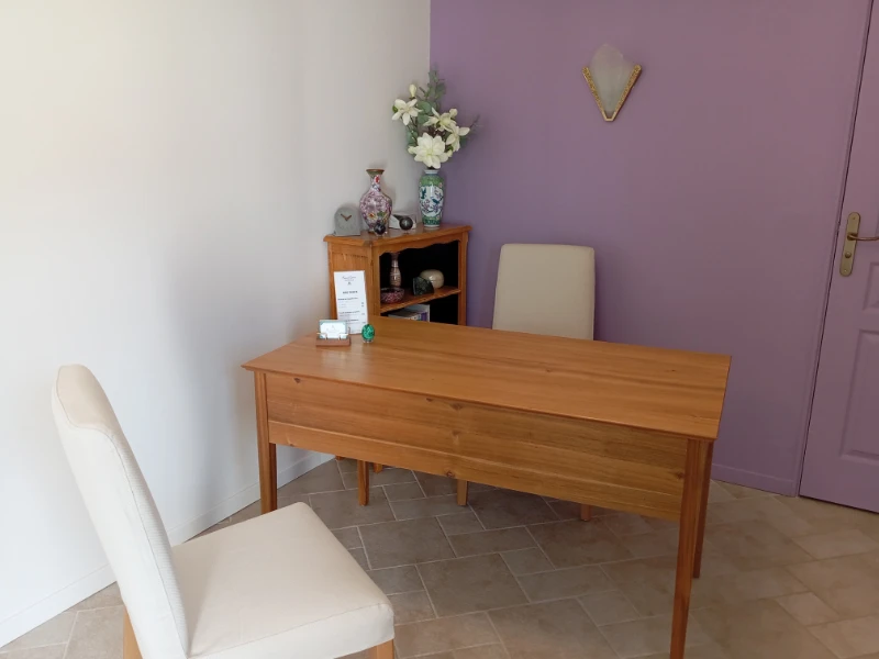 Une séance de magnétisme avec Benoit Lainé