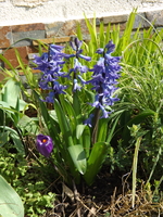 DSCF1605.JPG