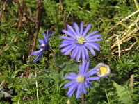 DSCF1612.JPG