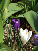 DSCF1631.JPG