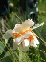 DSCF1638.JPG