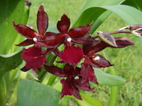 DSCF1666.JPG