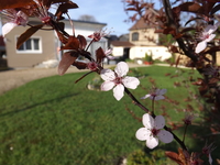 DSCF1684.JPG