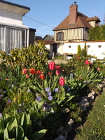 DSCF1730.JPG