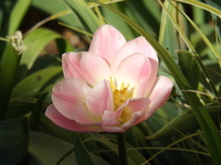 DSCF1824.JPG