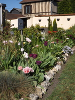 DSCF1913.JPG