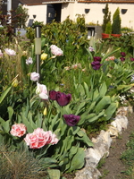 DSCF1940.JPG