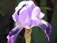 DSCF1991.JPG