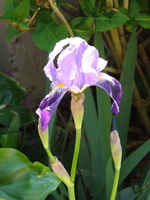 DSCF1993.JPG
